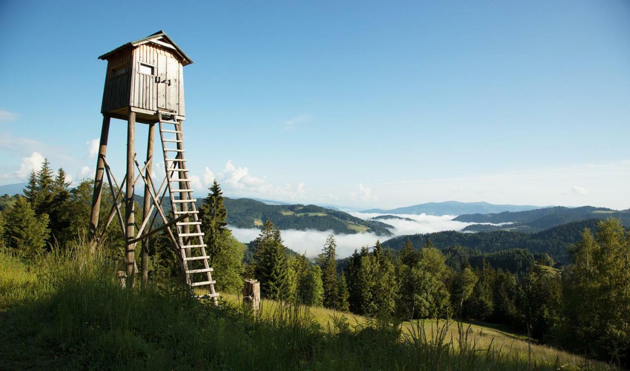 Lake Peak Apartments, Ribnisko Pohorje Ribnica na Pohorju 外观 照片